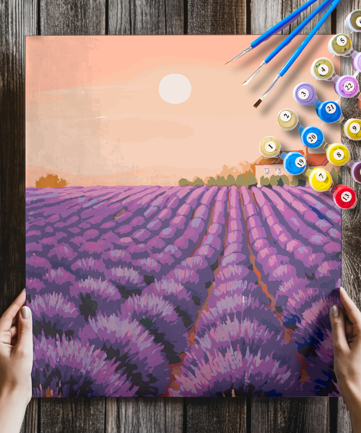 Lavender Fields