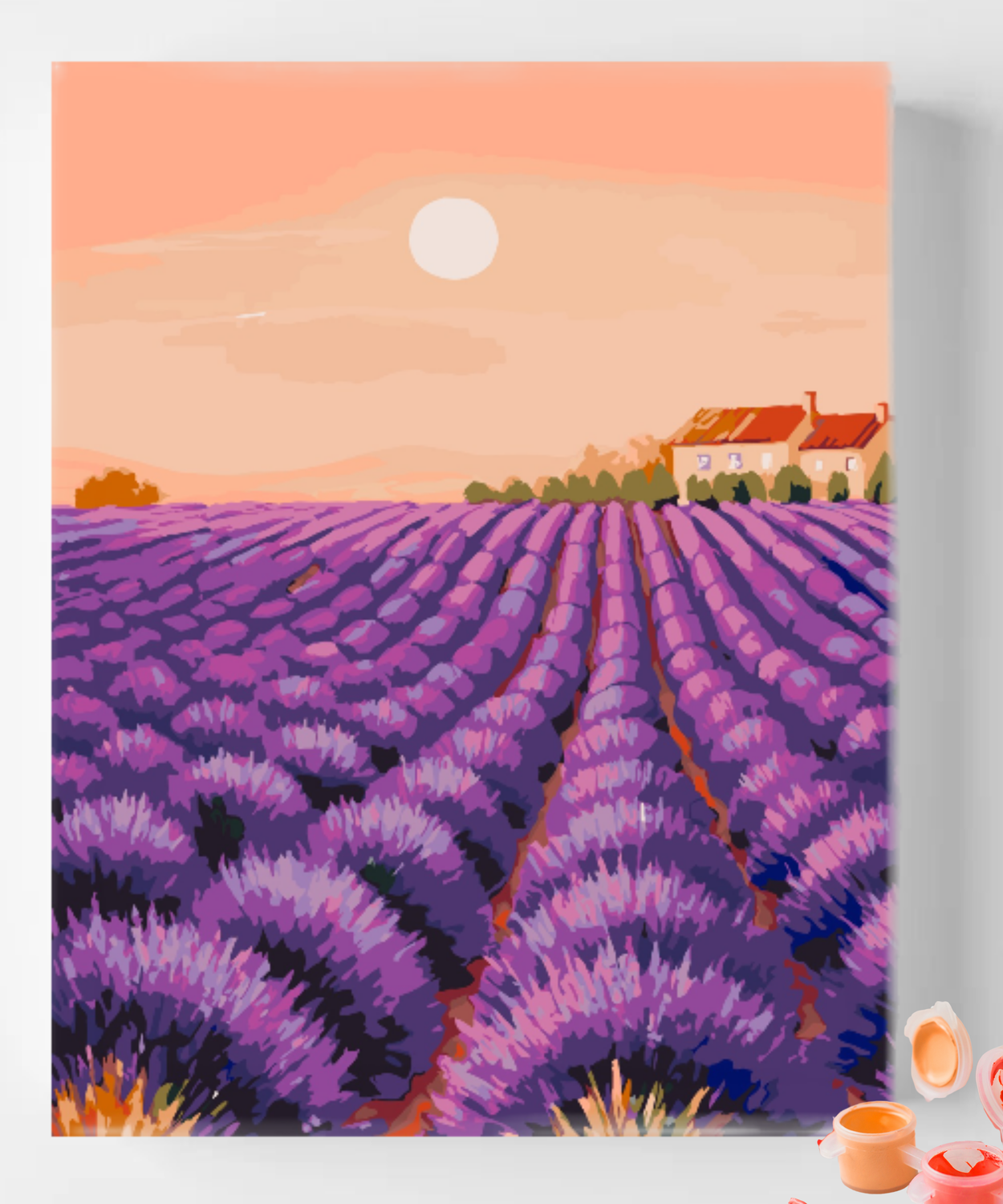 Lavender Fields
