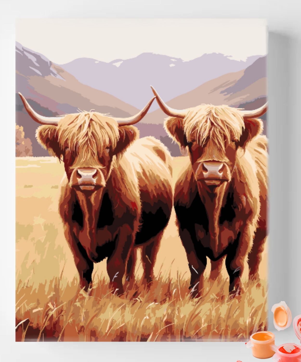 Highland Cow
