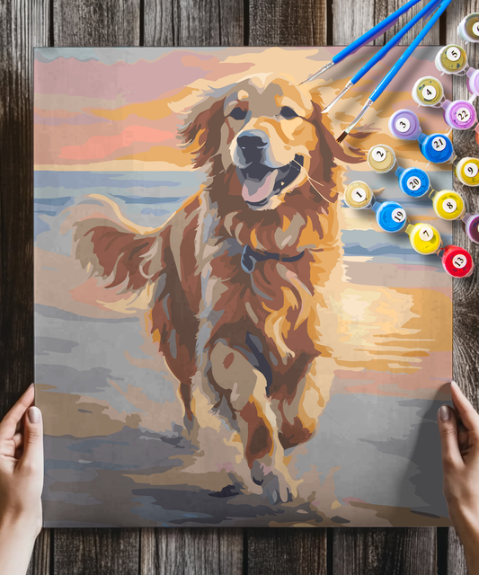 Golden Retriever Dog