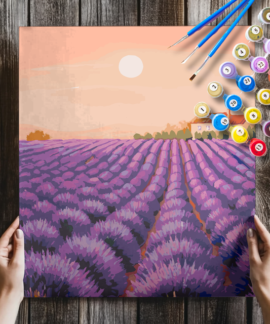 Lavender Fields