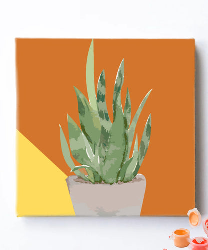Snake Plant Mini