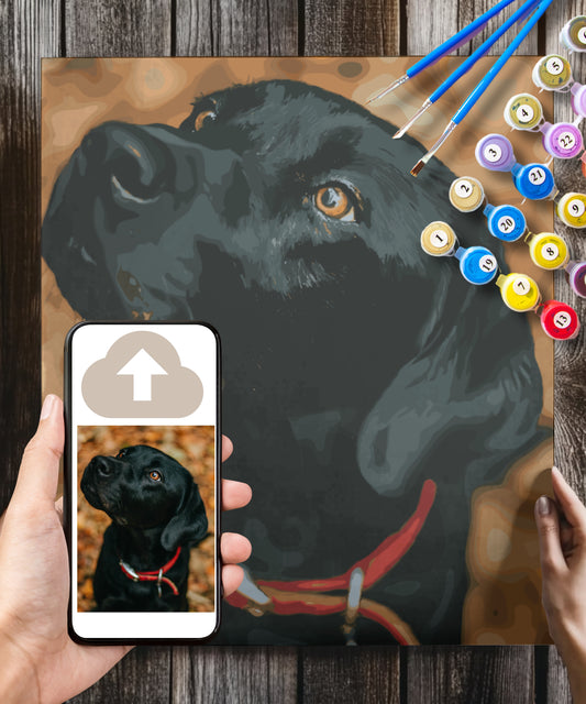 Personalised Pet Paint by Numbers Kit