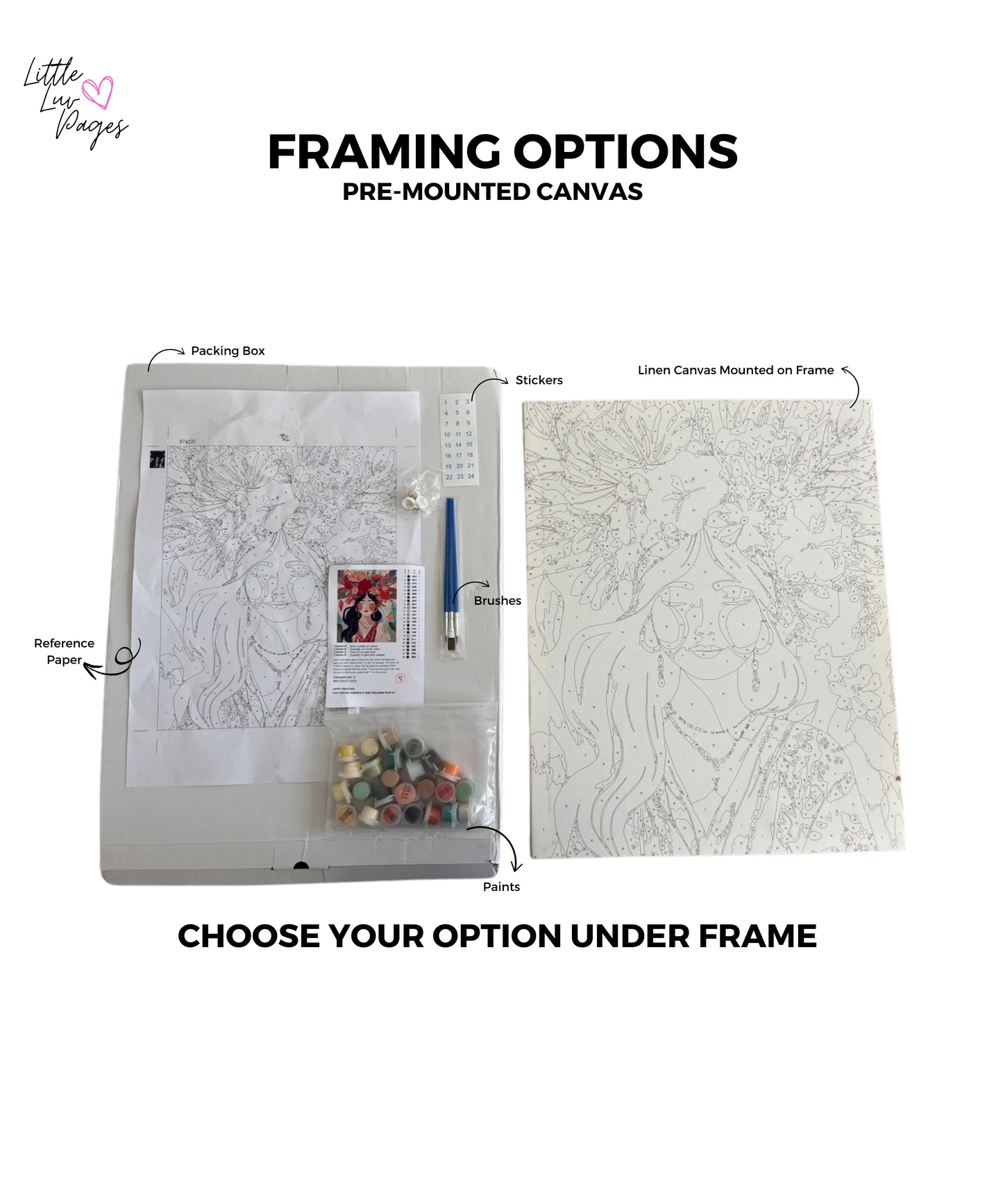Personalised Pet Paint by Numbers Kit