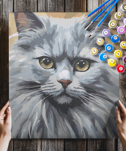 Grey Cat