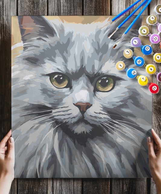 Grey Cat