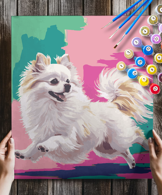 Pomeranian Dog