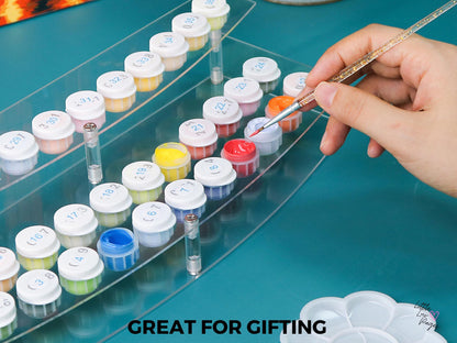 24/36/48 Hole Paint Holder